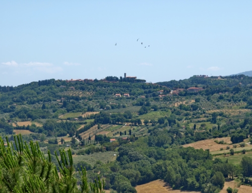 RIPARBELLA
